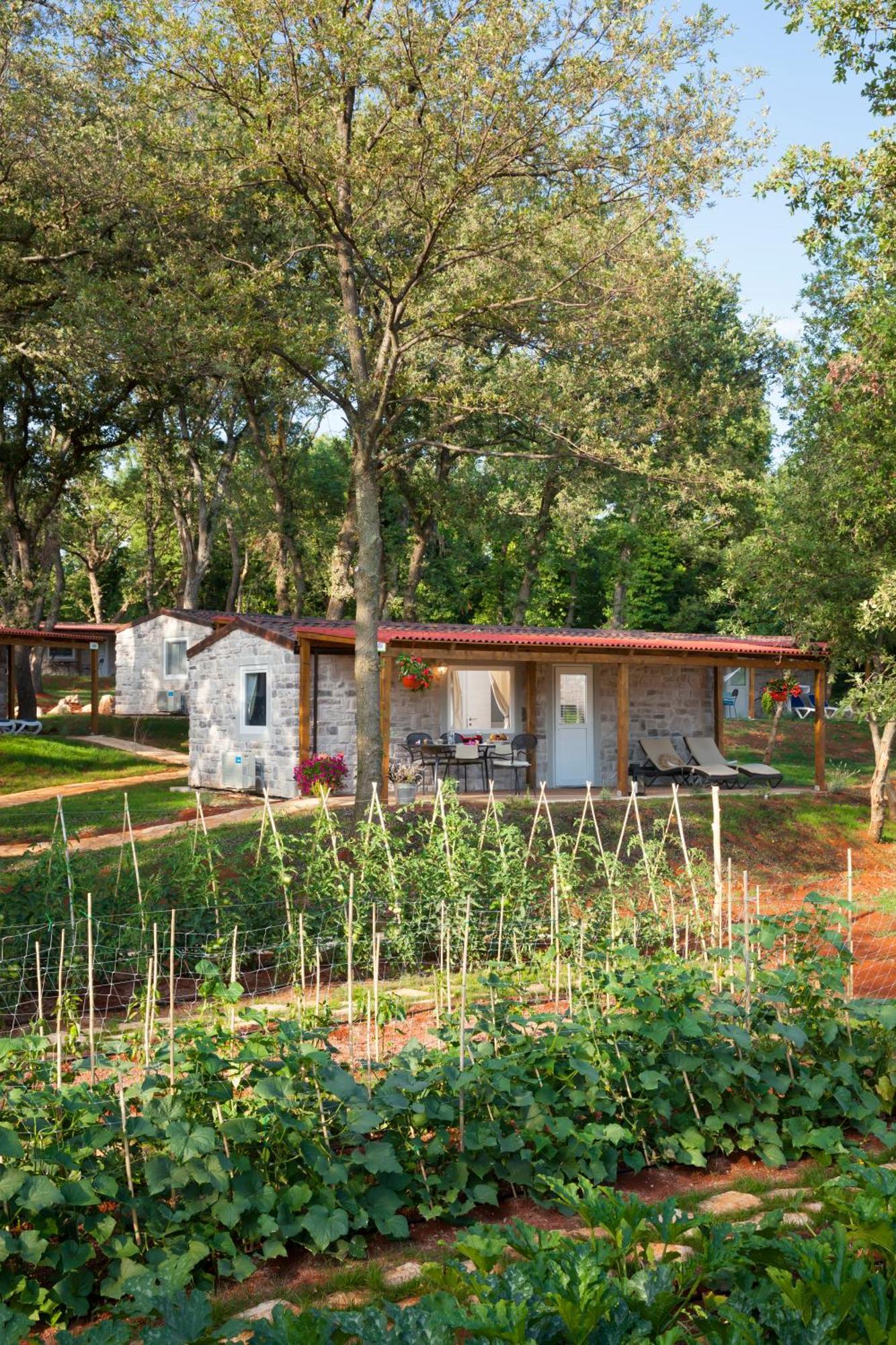 Aminess Planet Camping Holiday Homes Maravea Mareda Room photo